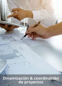 Anait Dinamización y coordinación de proyectos